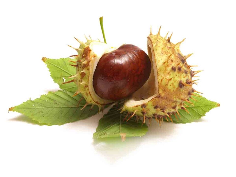 Varicone cream contains horse chestnut extract
